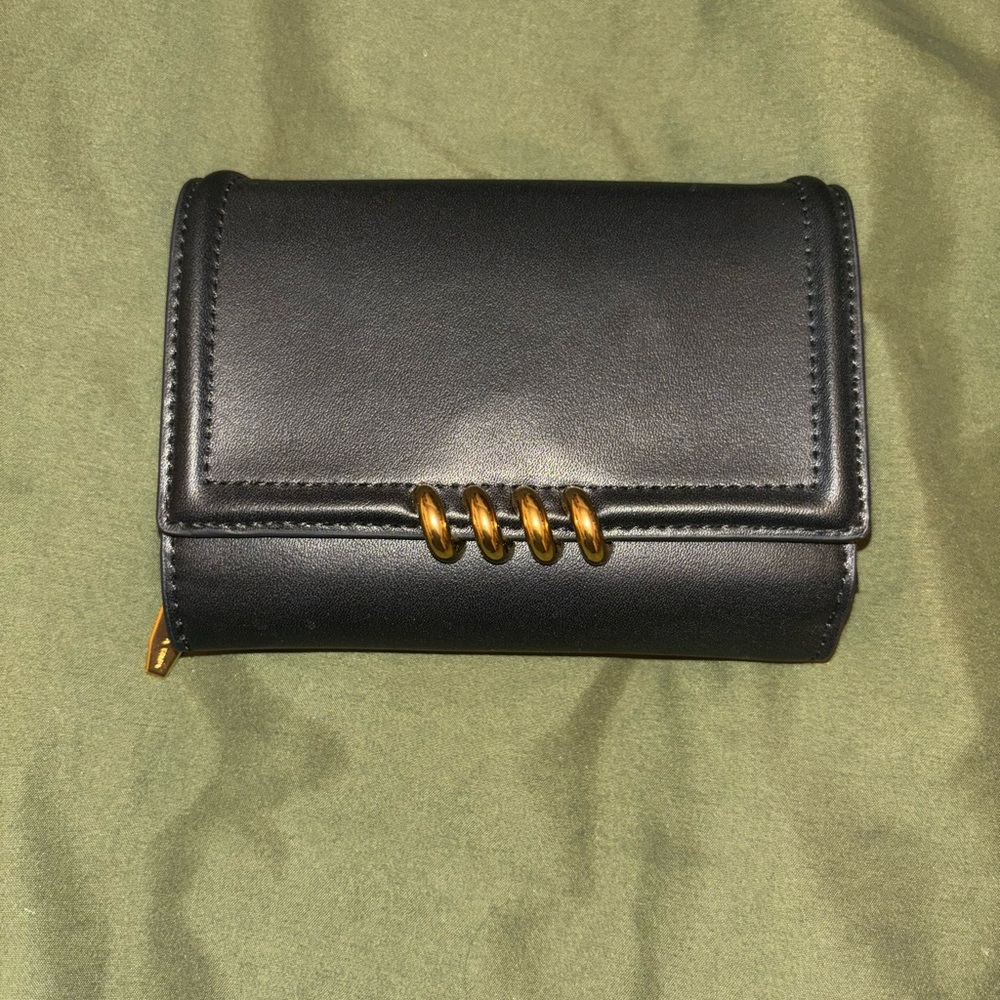 Charles & Keith Osiris Metallic Accent Wallet